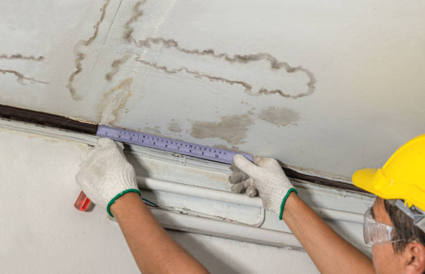 Reliable Water Damage Repair contractor in Plymouth, PA by Hirex Water Damage